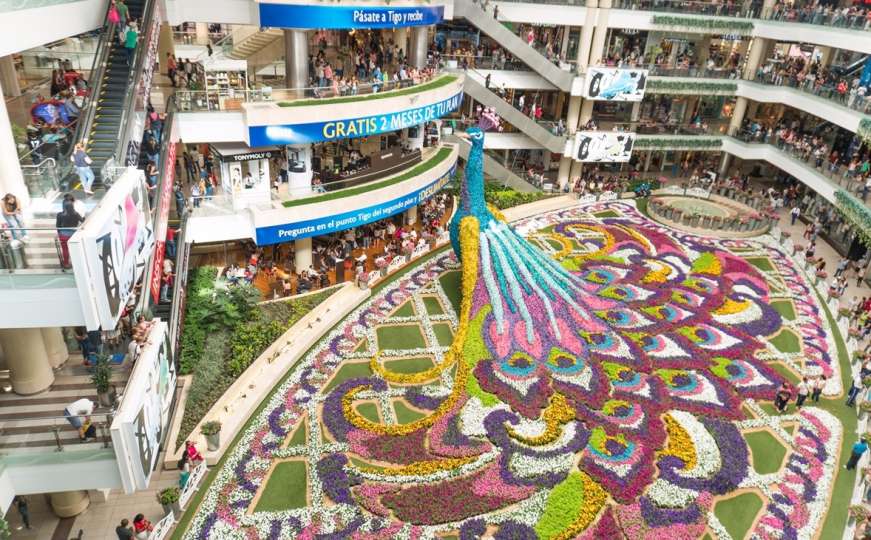 Na Festivalu cvijeća izložen paun od 182.000 cvjetova